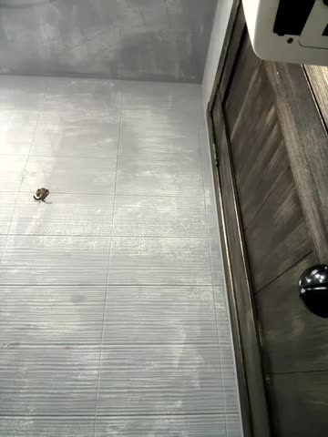 RinaCat Adult Chat August 26, 2025