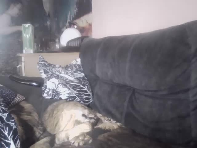 Ornotores_wers Adult Chat August 27, 2025