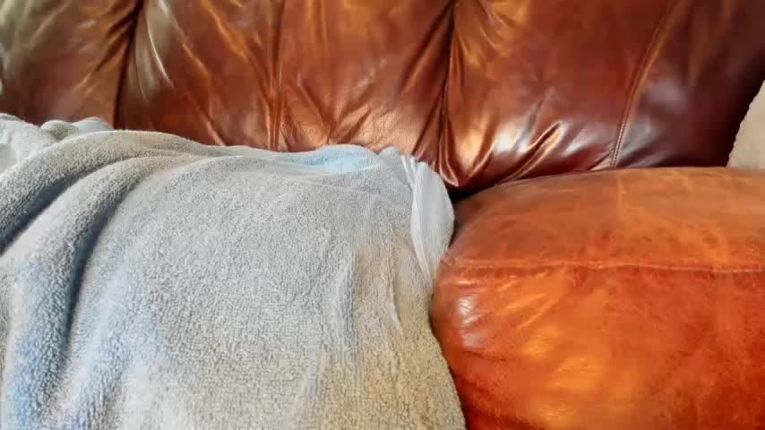 Blueeyedzaya_ Adult Chat August 27, 2025