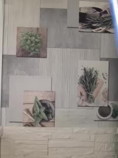 Anesteishen Adult Chat August 27, 2025