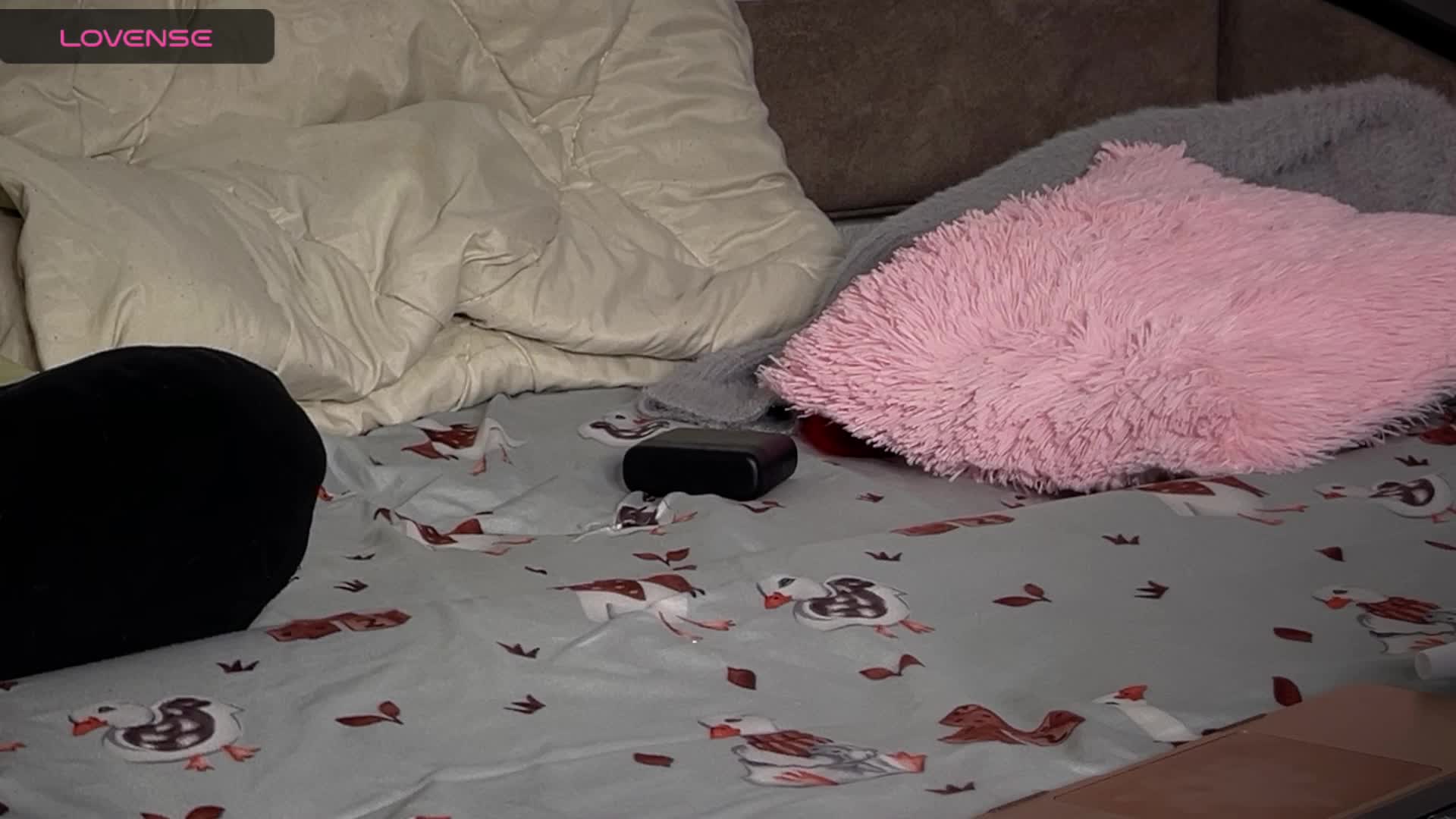 ZoyaVikki Adult Chat August 27, 2025