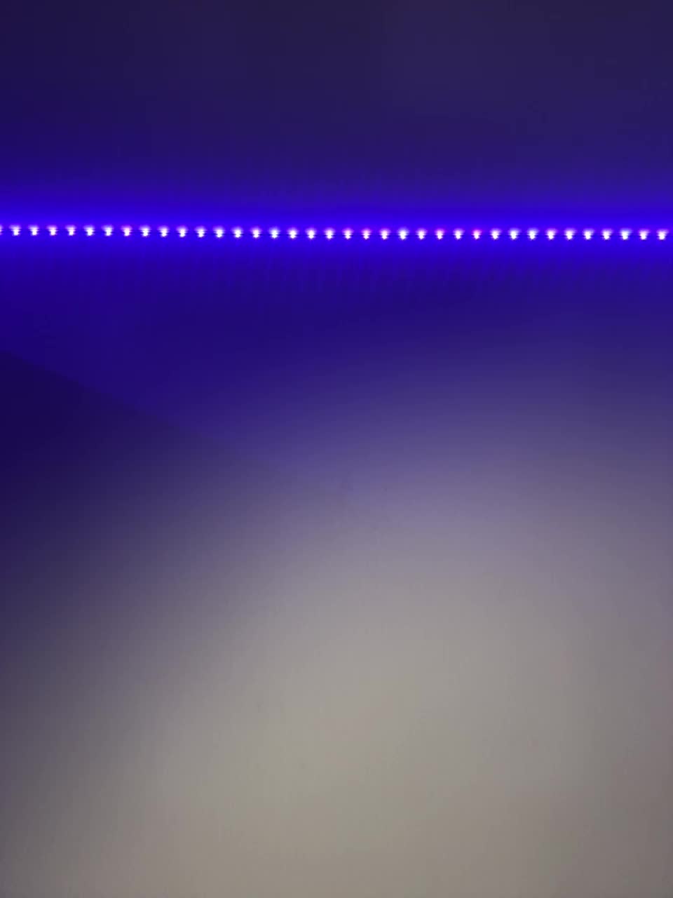 VULGARITY Adult Chat August 27, 2025