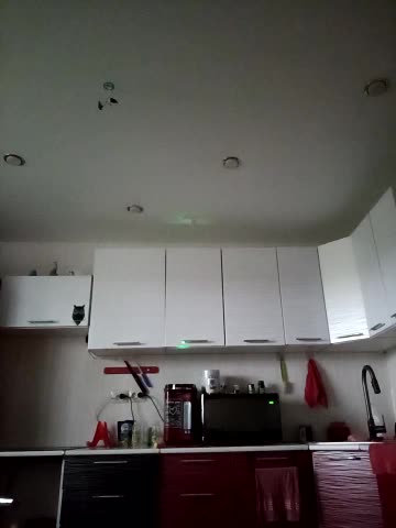 LeilaSaint Adult Chat August 27, 2025