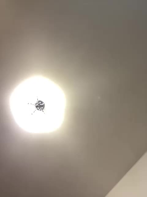 _-Afina-_ Adult Chat August 27, 2025