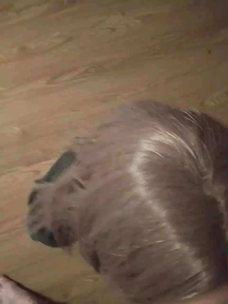 CHANEL77777 Adult Chat August 27, 2025