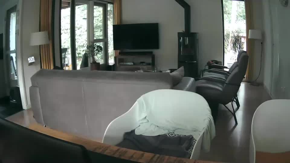 woodwurm Adult Chat August 27, 2025