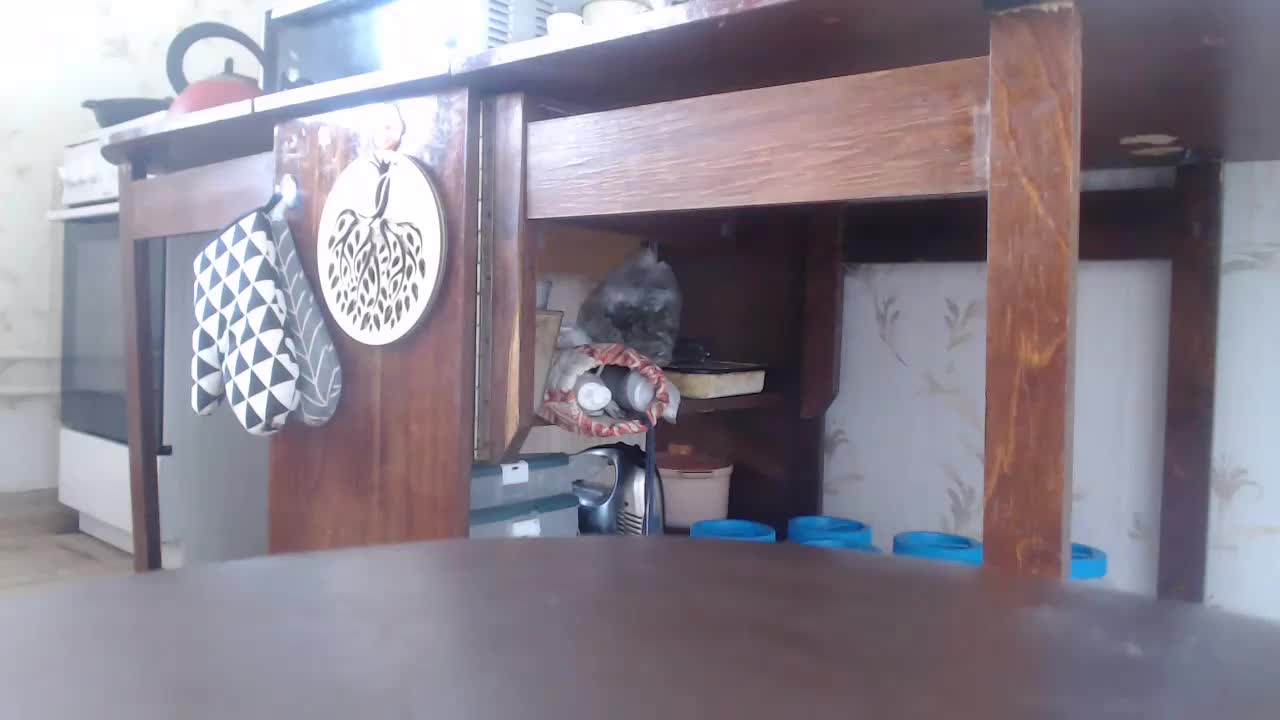 berry252 Adult Chat August 27, 2025