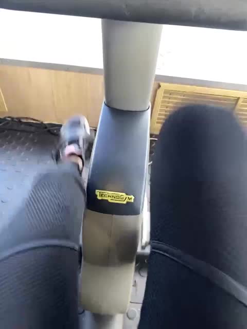 Ameli-na-meli Adult Chat August 27, 2025