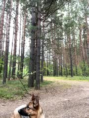 MiraReach Adult Chat August 28, 2025