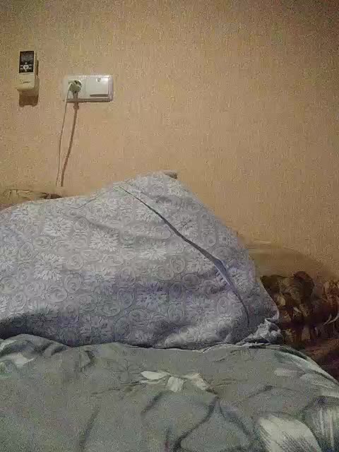 LunaRex Adult Chat August 28, 2025