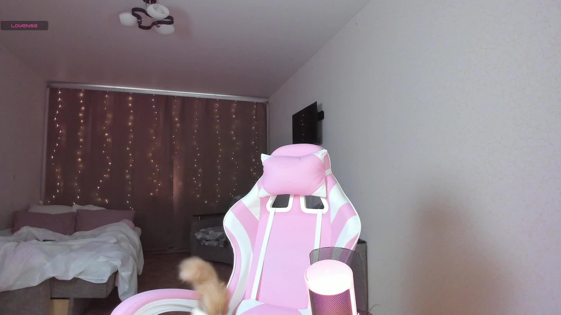 Polikinesis Adult Chat August 28, 2025