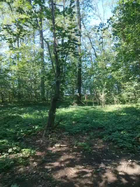 AHAHAC_HAXPEH_B_yHuTa3 Adult Chat August 28, 2025