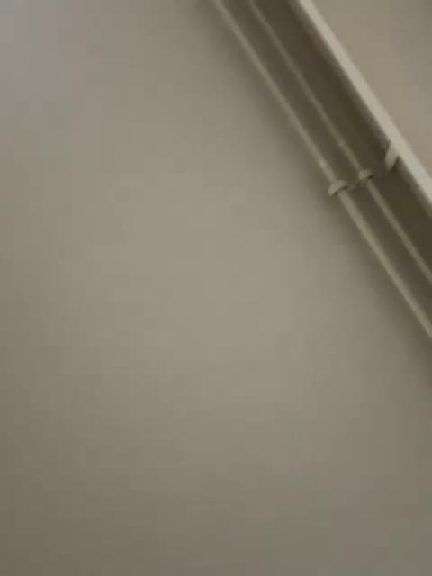 Reina-Koneko Adult Chat August 28, 2025