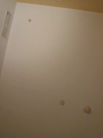 missionpossible Adult Chat August 28, 2025