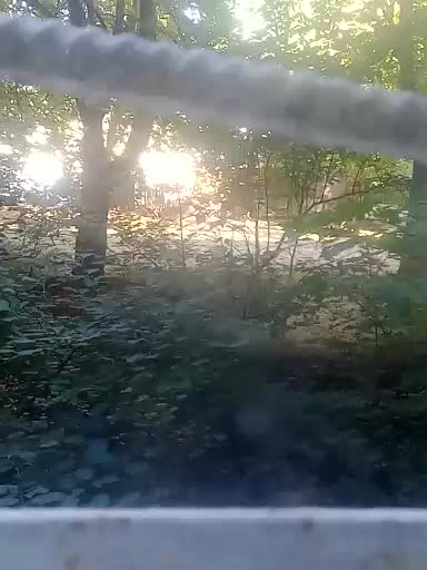 Elena380 Adult Chat August 28, 2025