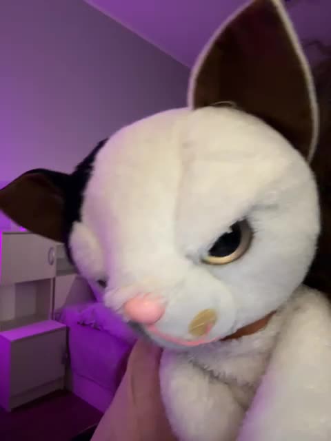 ShyAlya Adult Chat August 29, 2025