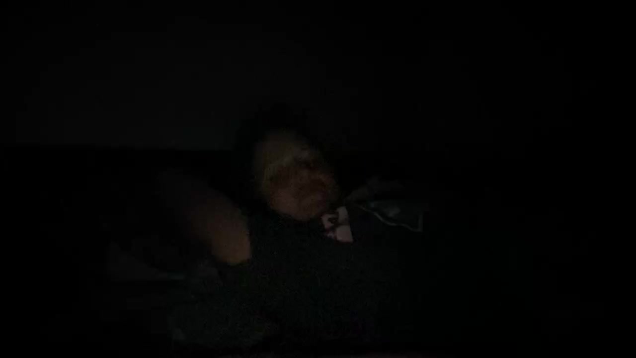 Natalii87 Adult Chat August 29, 2025