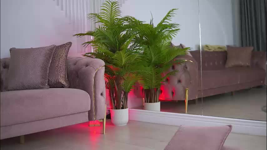 abbela_white Adult Chat August 29, 2025