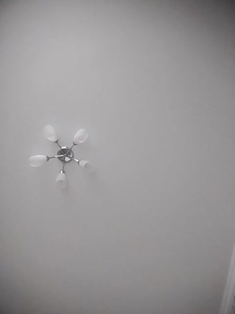 --MODEL--1 Adult Chat August 29, 2025