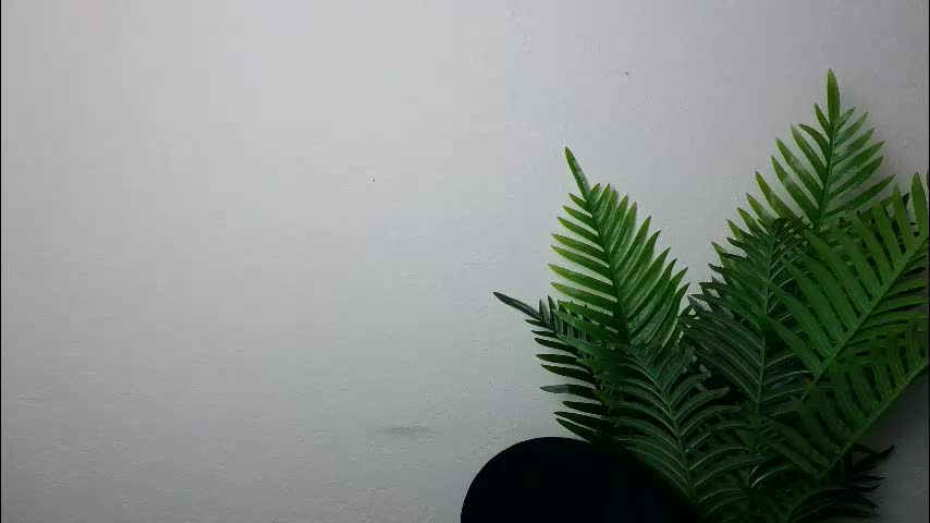 veryveryshygirl Adult Chat August 29, 2025