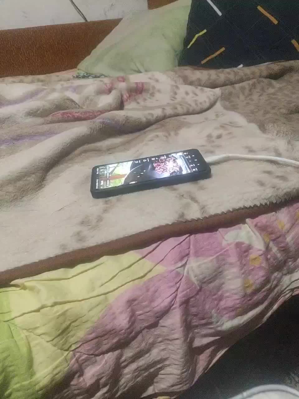 SexPara696969 Adult Chat August 29, 2025