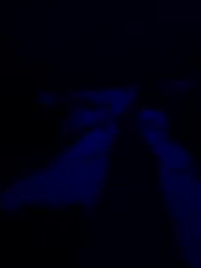 Elena380 Adult Chat August 29, 2025