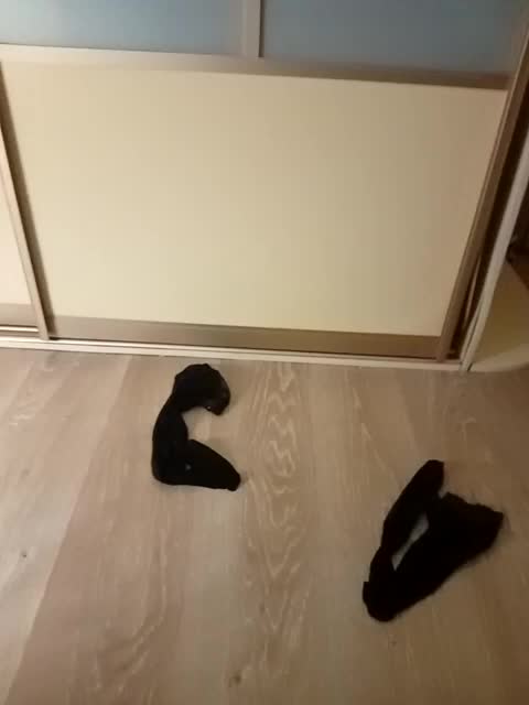 TataMiha2208 Adult Chat August 29, 2025