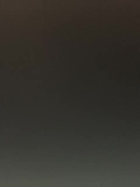 -Jolly- Adult Chat August 29, 2025