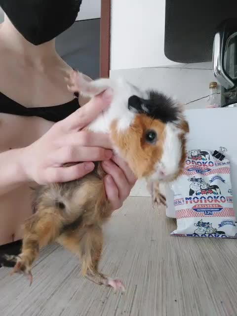 AngelsBoobs Adult Chat August 30, 2025