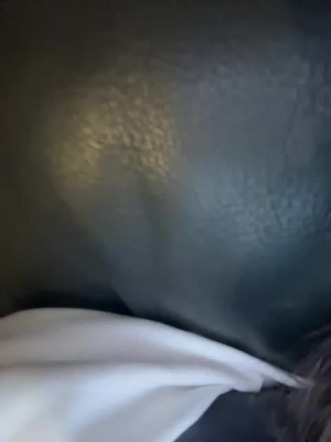 Wow-Eva Adult Chat August 30, 2025