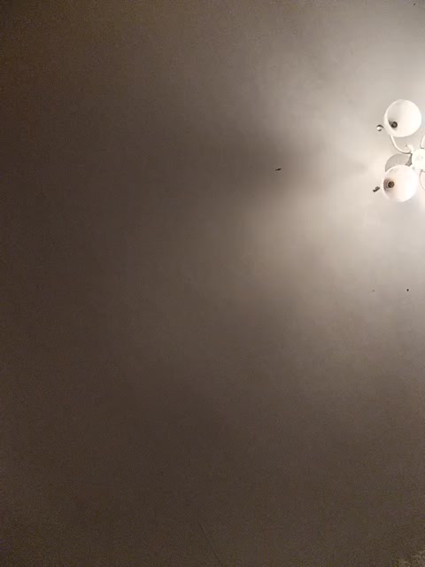 Maluska-Lapyla Adult Chat August 30, 2025