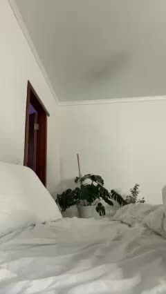 RedElf Adult Chat August 30, 2025