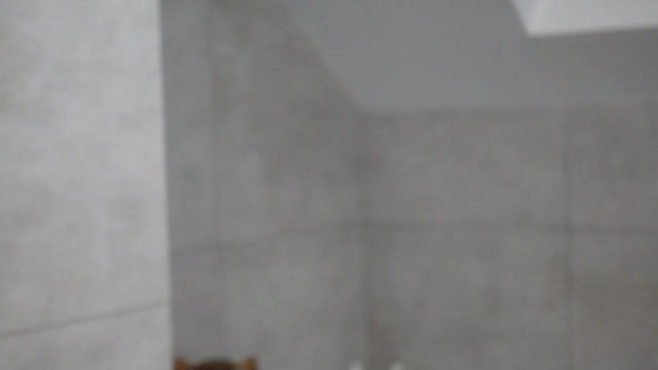 Taanni Adult Chat August 30, 2025