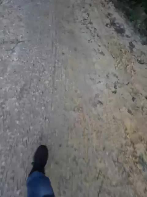 VCHELSIV Adult Chat August 30, 2025