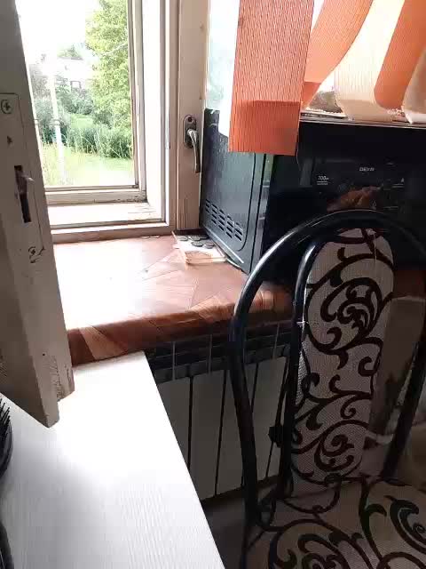 Viktoria777a Adult Chat August 30, 2025