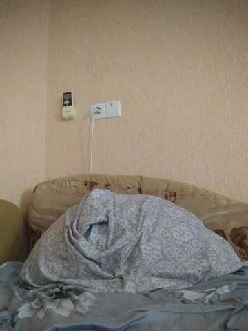 LunaRex Adult Chat August 30, 2025