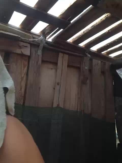 Vika1zvezda Adult Chat August 30, 2025