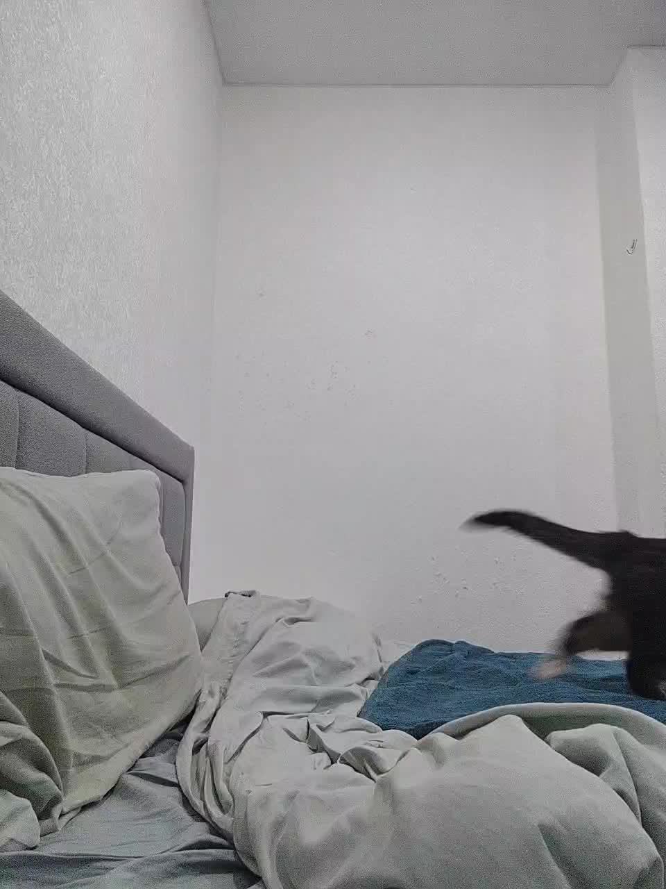 Katniss_K Adult Chat August 30, 2025