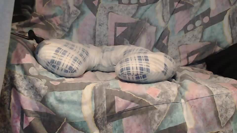 tyson2525 Adult Chat August 30, 2025