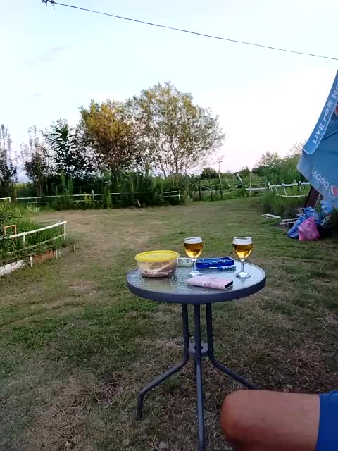 _KissMyAss_ Adult Chat August 31, 2025