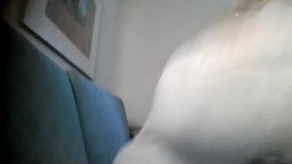 bedbandits Adult Chat August 31, 2025