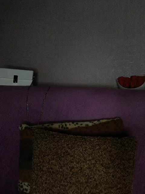 HaisonEris1 Adult Chat August 31, 2025