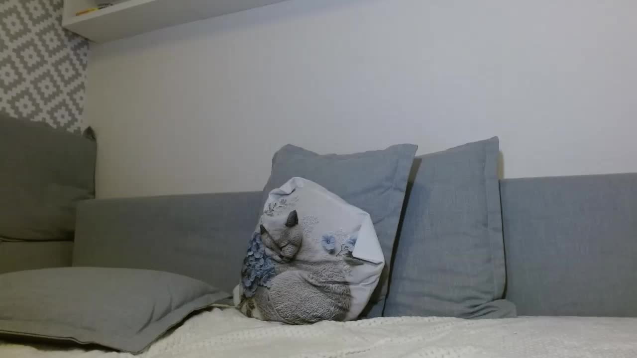 albinochka888 Adult Chat August 31, 2025