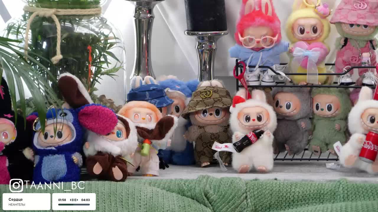 Taanni Adult Chat August 31, 2025