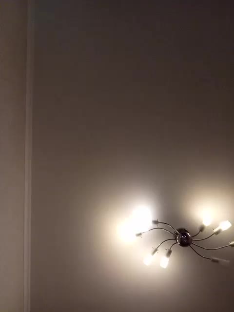 Vetka-konfetka Adult Chat August 31, 2025