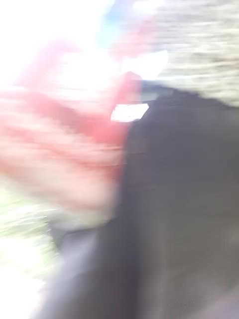 Sweetie29a Adult Chat August 31, 2025