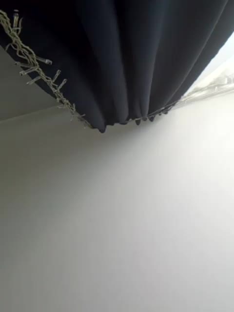 MiraFaut Adult Chat August 31, 2025