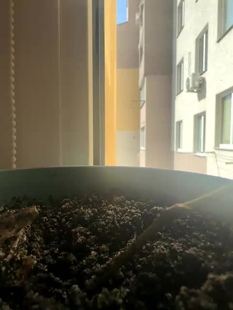 Luizashka Adult Chat August 31, 2025