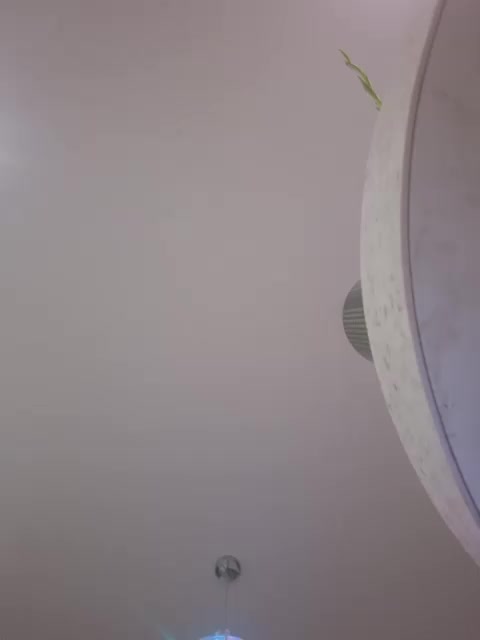 VCHELSIV Adult Chat August 31, 2025