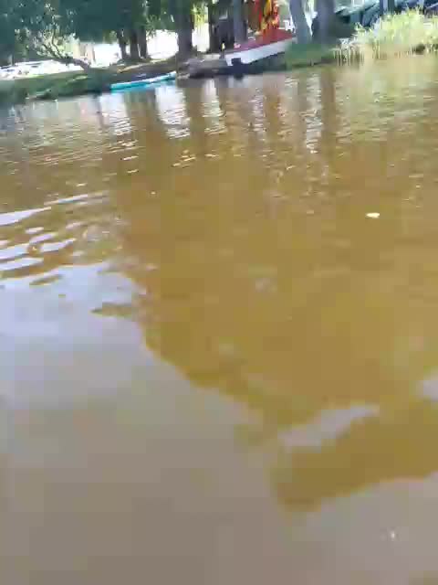 EVIL_TITS Adult Chat August 31, 2025